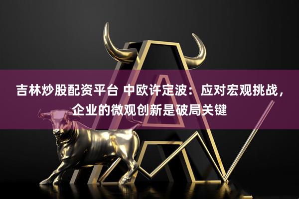 吉林炒股配资平台 中欧许定波：应对宏观挑战，企业的微观创新是破局关键