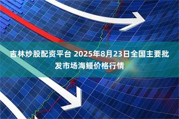 吉林炒股配资平台 2025年8月23日全国主要批发市场海鳗价格行情